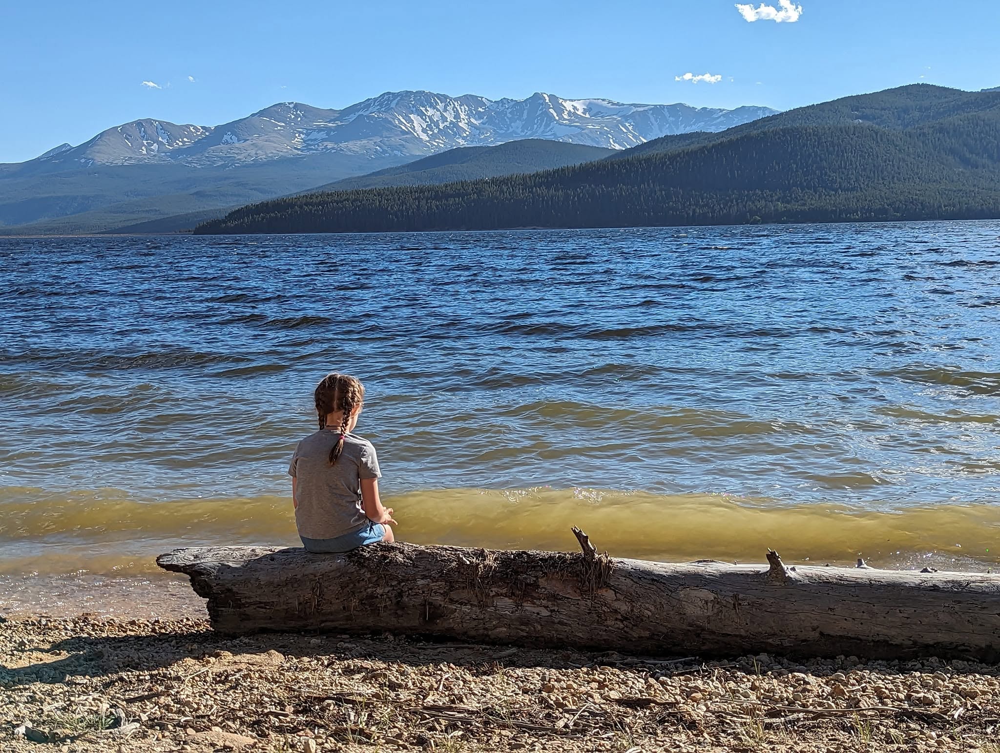 Conservation field work in Colorado